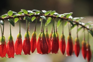 佛山高明区5私人快速借钱网，轻松解决资金难题
