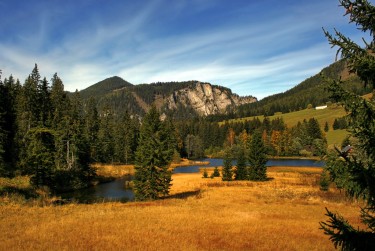 佛山高明区5民间私贷攻略：揭秘低成本借贷的秘密