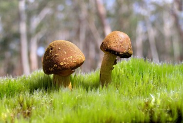 佛山高明区5私人老板放款：轻松融资的秘密通道